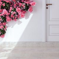 ＜ナチュラルテイスト＞玄関におすすめな花・観葉植物